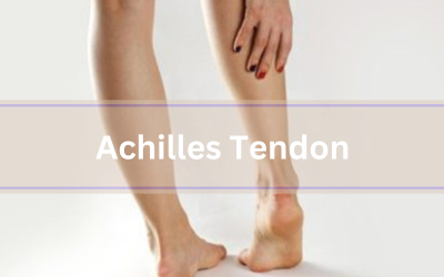 Achilles Tendon